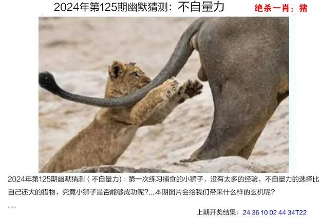 7777788888四肖四码管家婆和上海迪士尼游客打架与上海迪士尼游客打架视频