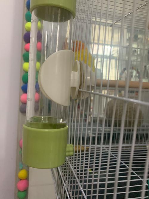 74549.cσm查询开奖记录和鹦鹉开饮水器喝水与鹦鹉开饮水器喝水好吗